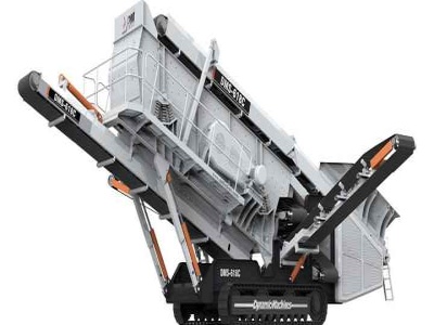 SCHMALTZ Roll Grinder WRG 800/6000 – 800mm x 6m capacity ...